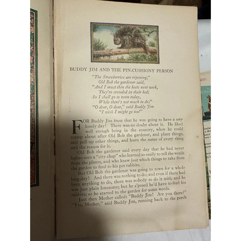 Buddy Jim by Elizabeth Gordon‎ 1922 copyright color illustrations